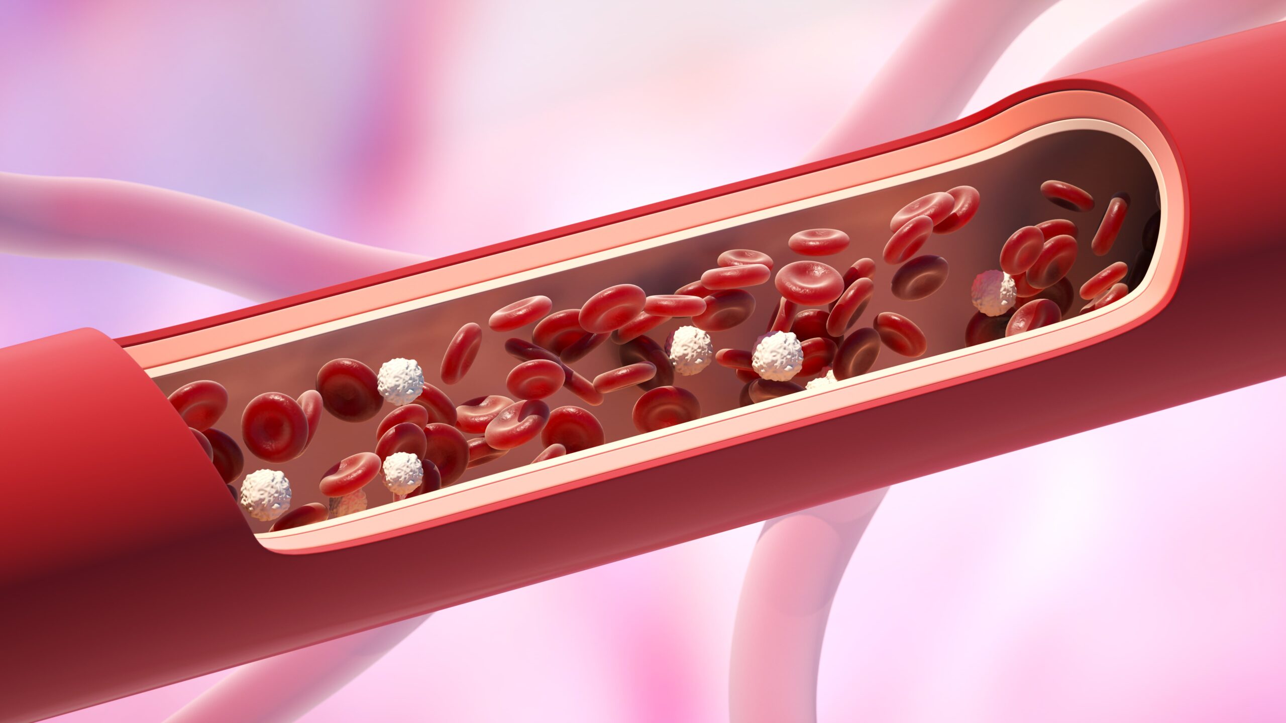 Photo - 0 - How Long Are Your Blood Vessels?